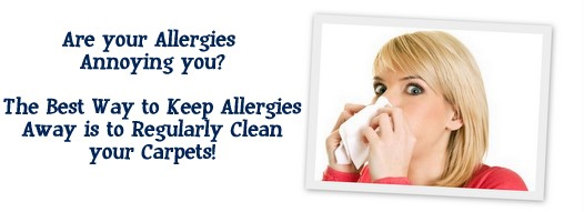 Carpet Cleaning Falls Church,  VA