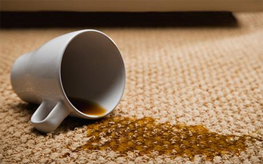 Carpet Cleaning Falls Church,  VA