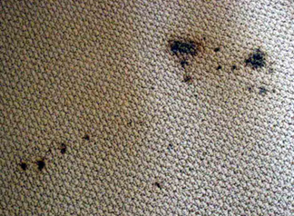 Spot & Stain Removal Falls Church,  VA