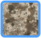 Falls Church,  VA Water Damage Restoration